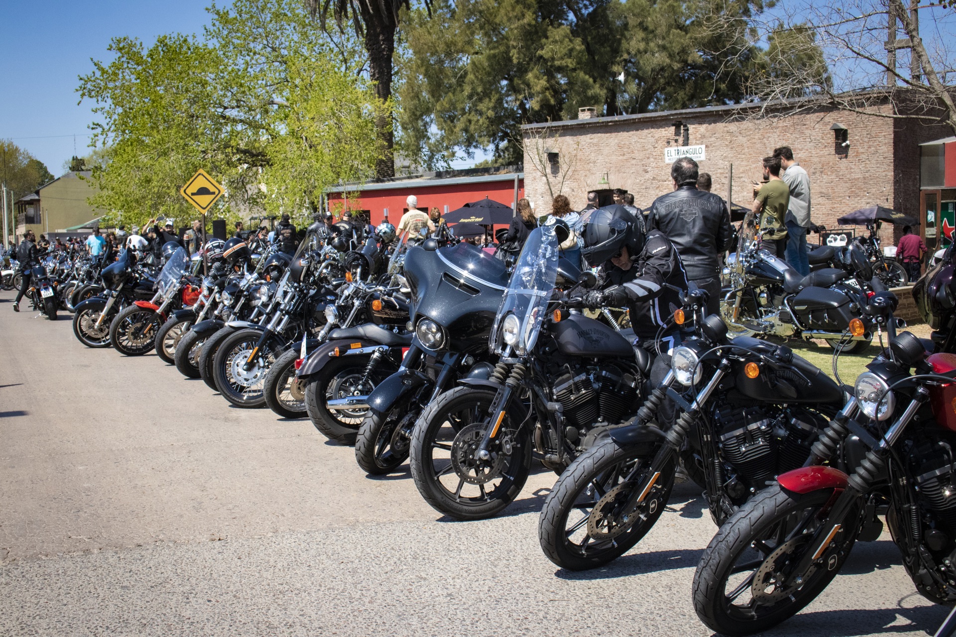 Harley Davidson